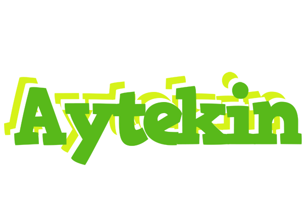 Aytekin picnic logo