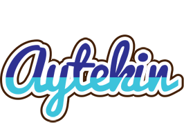 Aytekin raining logo