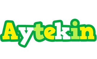 Aytekin soccer logo