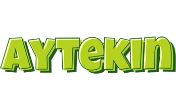 Aytekin summer logo