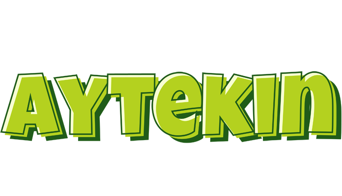 Aytekin summer logo