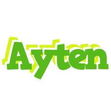 Ayten picnic logo