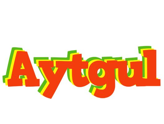 Aytgul bbq logo