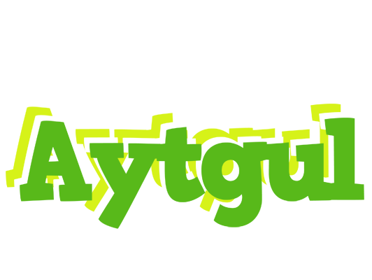Aytgul picnic logo