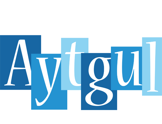 Aytgul winter logo
