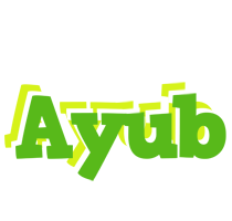 Ayub picnic logo