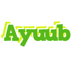 Ayuub picnic logo