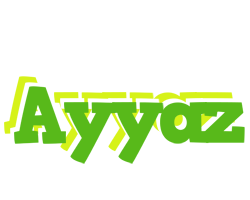 Ayyaz picnic logo