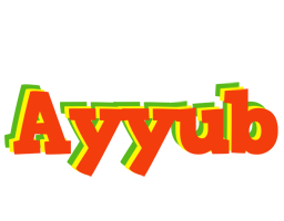 Ayyub bbq logo