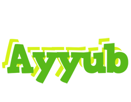 Ayyub picnic logo