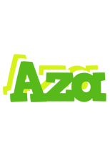 Aza picnic logo