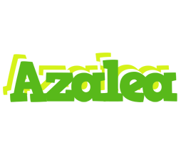 Azalea picnic logo