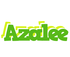 Azalee picnic logo