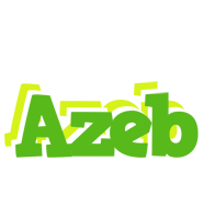 Azeb picnic logo