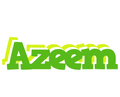 Azeem picnic logo