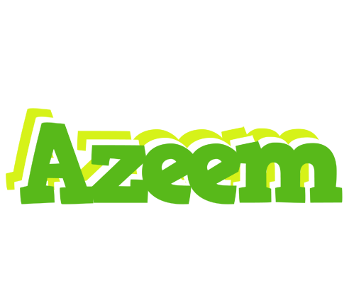 Azeem picnic logo