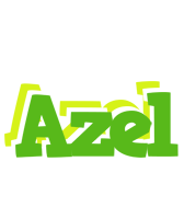 Azel picnic logo