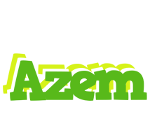 Azem picnic logo