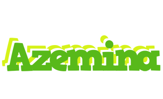 Azemina picnic logo