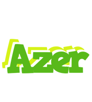 Azer picnic logo