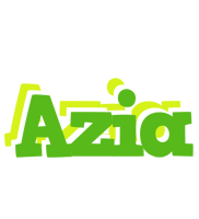 Azia picnic logo