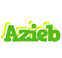 Azieb picnic logo