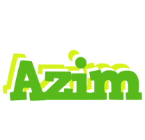 Azim picnic logo