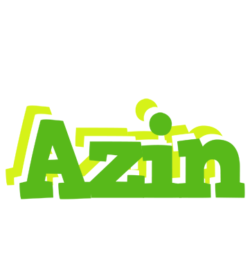 Azin picnic logo