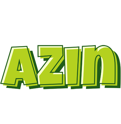 Azin summer logo