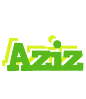 Aziz picnic logo