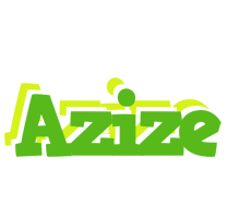 Azize picnic logo