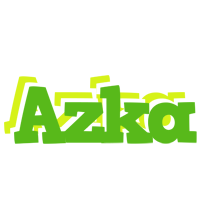 Azka picnic logo