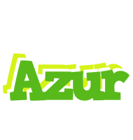 Azur picnic logo