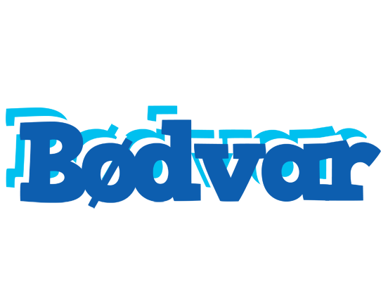 Bødvar business logo
