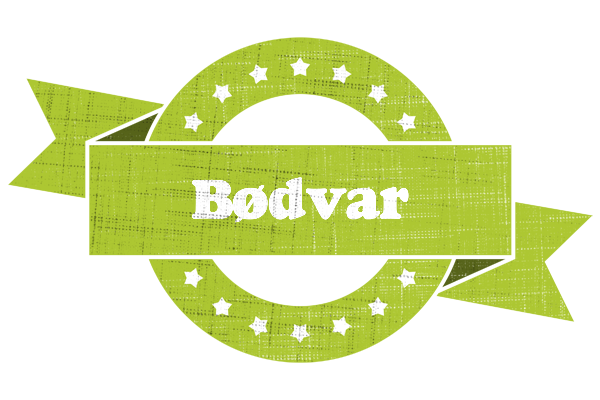 Bødvar change logo