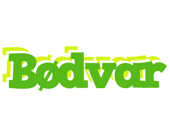 Bødvar picnic logo