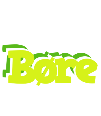 Børe citrus logo
