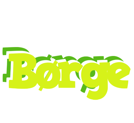 Børge citrus logo