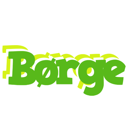Børge picnic logo