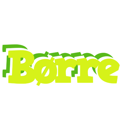 Børre citrus logo