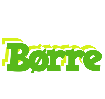 Børre picnic logo