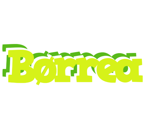 Børrea citrus logo