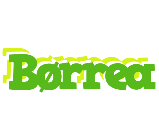 Børrea picnic logo