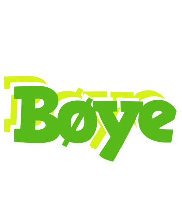 Bøye picnic logo