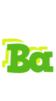 Ba picnic logo