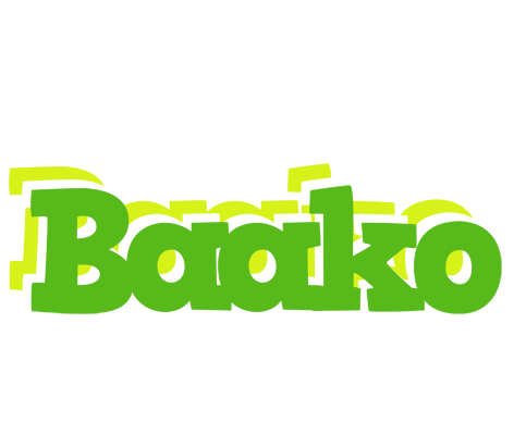 Baako picnic logo