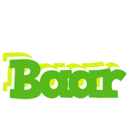 Baar picnic logo