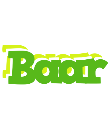 Baar picnic logo