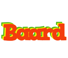 Baard bbq logo