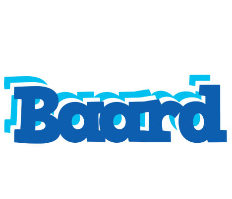 Baard business logo